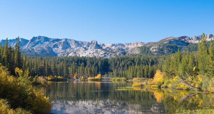 Bergachtig landschap met een kalm meer dat het bos en de bergtoppen weerkaatst.