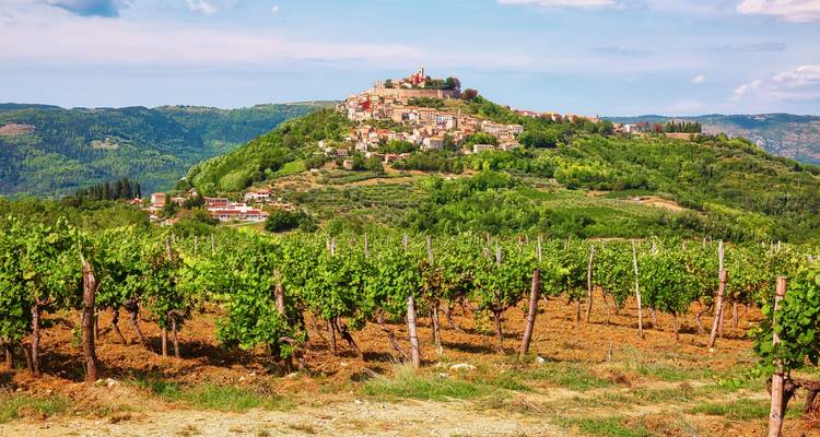 Viaje de ida y vuelta para disfrutar de Istria - Croaticum GmbH 7