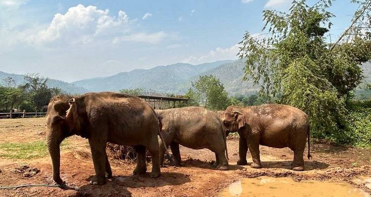Panoramic Travel To Thailand Itinerary 10 Days/9Nights - Bee Gng International Joint Stock Company 6