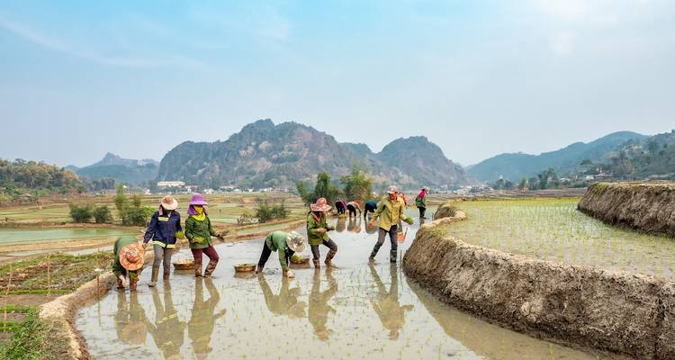 Aventura en Vietnam - comida, cultura y experiencias divertidas - Vio Travel 8