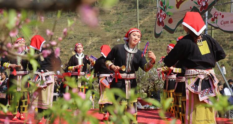 Danse culturelle traditionnelle avec des participants en costumes élaborés.