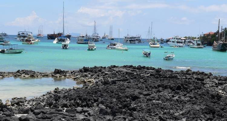 5 días para descubrir la vida salvaje de Galápagos - 2 islas Deshabitadas - Responsible Travel South America 2