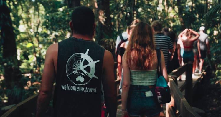 Un groupe de personnes marchant sur un sentier en bois à travers une forêt.
