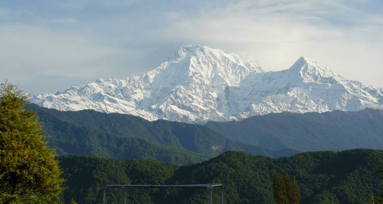 Distant snow-capped mountain with greenery in the foreground.