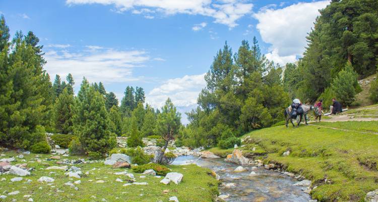 Fairy Meadows - Gypsy Traces and Tours 2