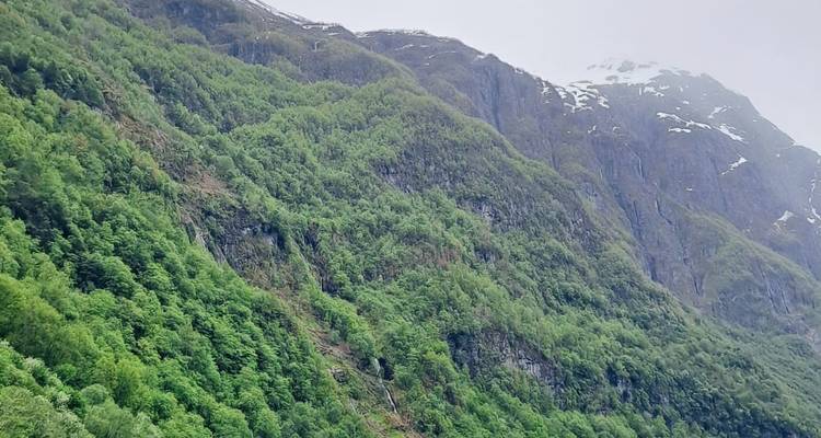 Paquete de 5 días de Aventura en los Fiordos de Noruega - Outdoor Norway 10