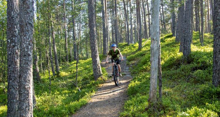 7 días de Épica Aventura en Bicicleta de Montaña Singletrack en Noruega - Outdoor Norway 7