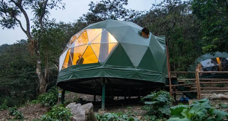 Estructura de alojamiento ecológico con forma de cúpula en un entorno forestal.