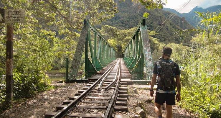 Persona caminando en un puente de sendero en el bosque.
