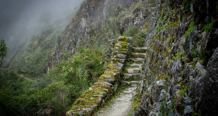 Oude stenen treden die zich kronkelen rond een weelderige berg.