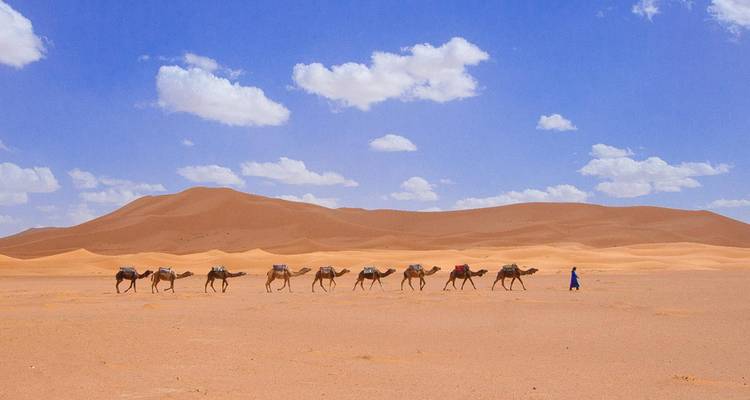 2 jours de Ouarzazate à Merzouga (Erg Chebbi) - SAHARA HOLIDAY 4