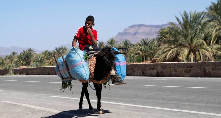 2 jours de Ouarzazate à Merzouga (Erg Chebbi) - SAHARA HOLIDAY 7