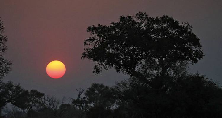La fauna salvaje de Namibia en el punto de mira - DIAMIR Erlebnisreisen 5