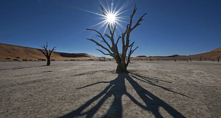 La fauna salvaje de Namibia en el punto de mira - DIAMIR Erlebnisreisen 6