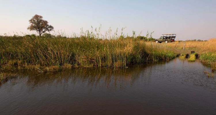 Waterlandschap met hoog gras en safariwagen.