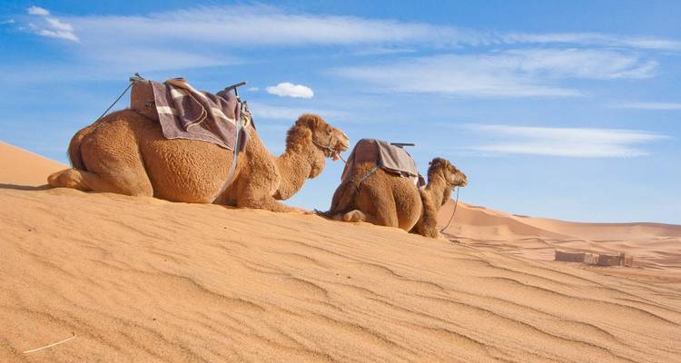 3 days / 2 nights Ouarzazate to Erg Chegaga desert trip - SAHARA HOLIDAY 7