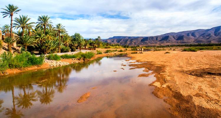 Grand sud marocain (dunes de Chegaga) - SAHARA HOLIDAY 4