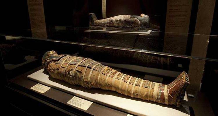 Découvrez les merveilles de l'Égypte et de la Jordanie : Louxor, Sharm El Sheikh et Petra - Pharaohn Tours 1