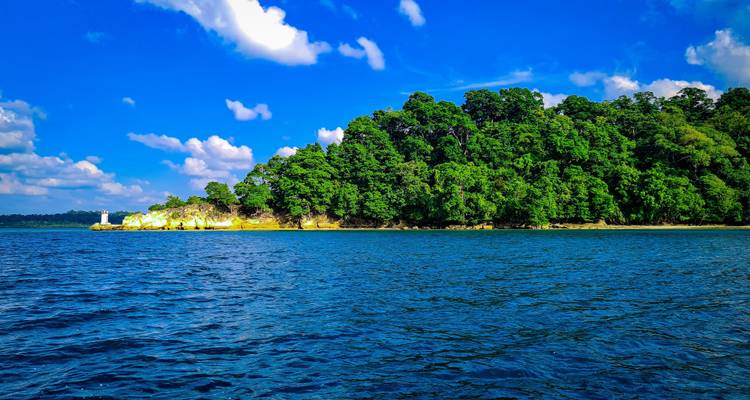 Île avec une forêt verte dense et une eau bleue claire.