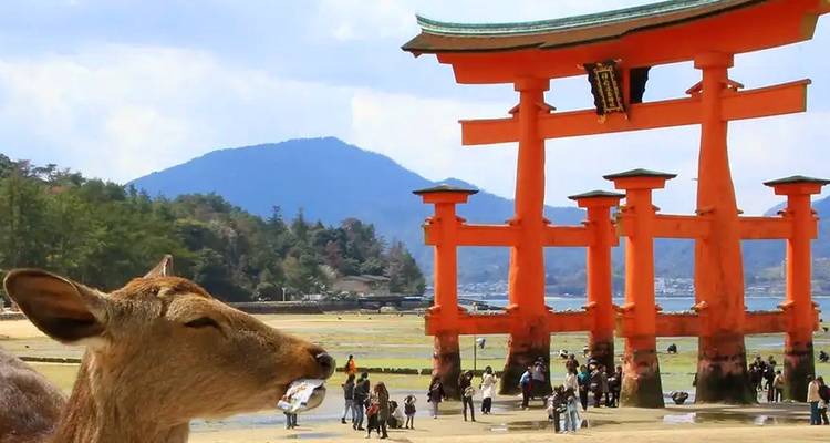Deer in front of a famous red torii gate by the water.