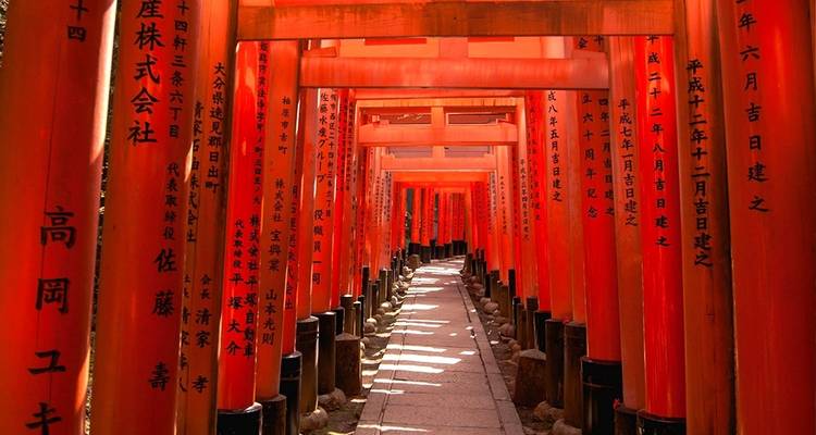 A tunnel of red torii gates with inscriptions.
