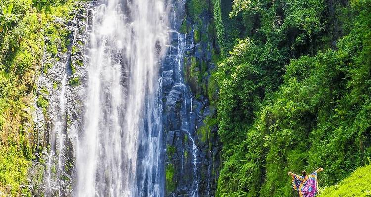 Serengeti, Ngorongoro, Tarangire - con cascadas de Materuni, excursión del café - 7 días - Zara Tours (Zara Tanzania Adventures) 2