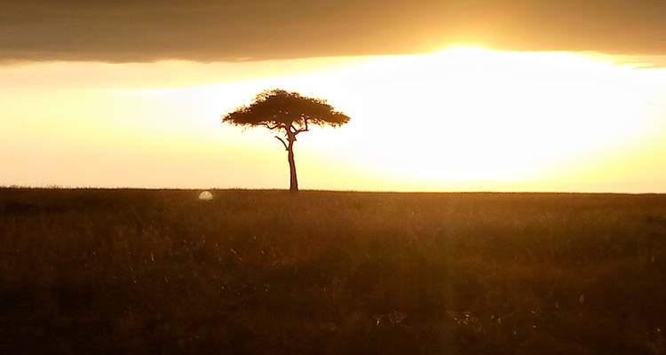 3 Days Maasai Mara Safari Tour - MAJESTIC QUEST TOURS AND TRAVEL 1