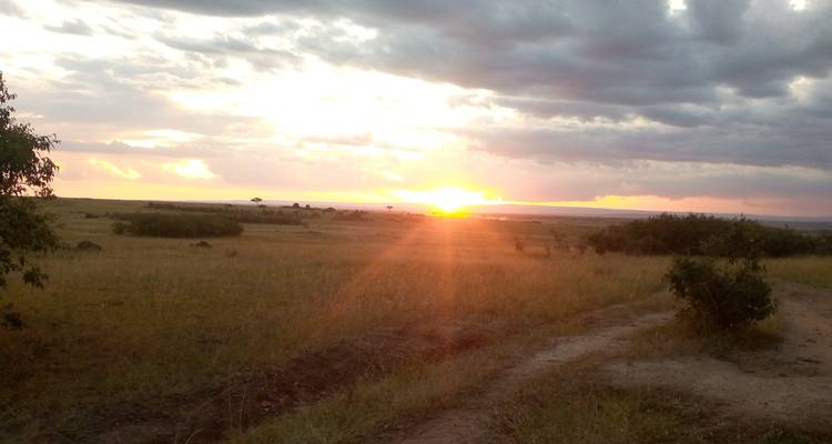 3 Days Maasai Mara Safari Tour - MAJESTIC QUEST TOURS AND TRAVEL 2