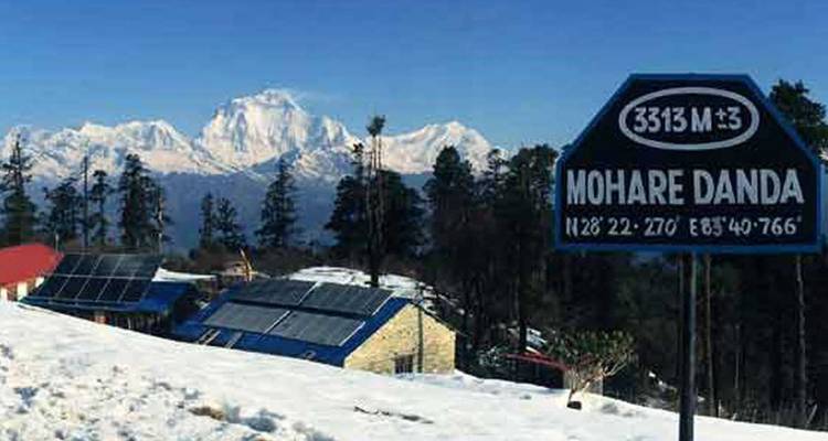 Poonhill Mohare Dada Circuit Trek For 6 Days - Nepalgram Adventure 3