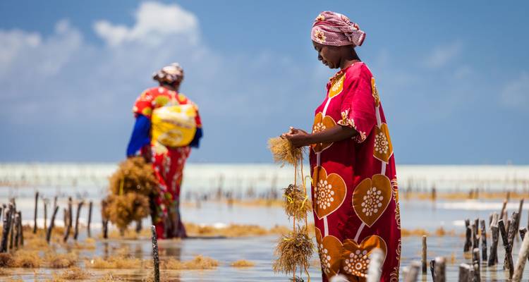 Safaris en grupo de gran migración en Tanzania y Kenia - Jollic Adventure Tour 5
