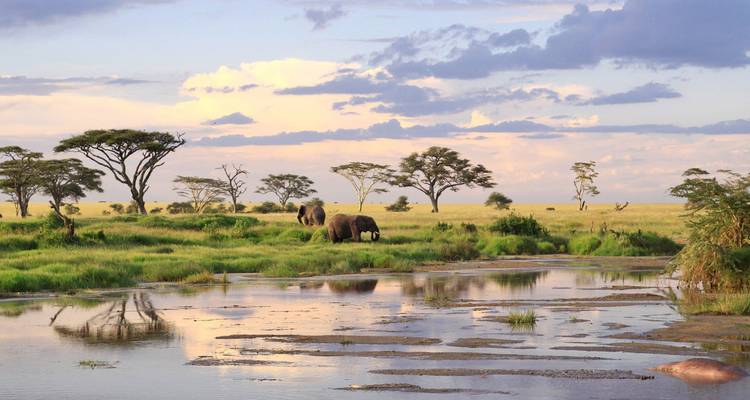 Safaris en grupo de gran migración en Tanzania y Kenia - Jollic Adventure Tour 6