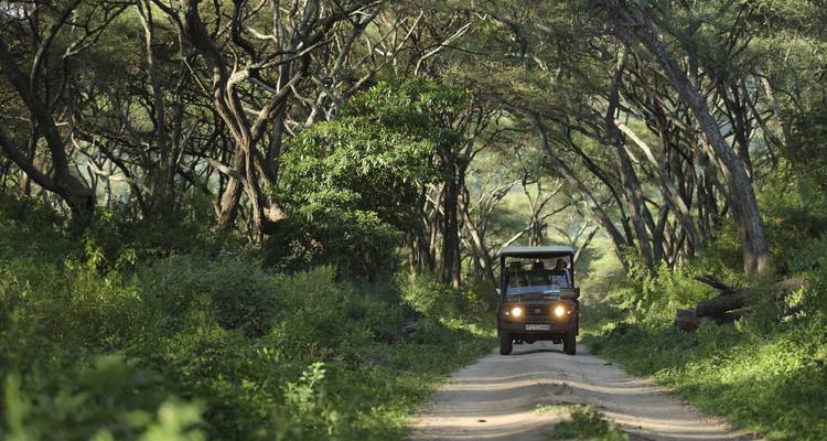Safari-voertuig dat door een bosweg rijdt met dichte begroeiing.