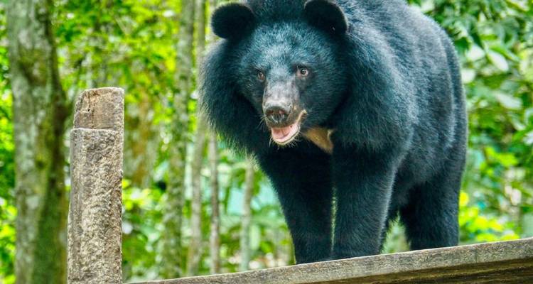 Donde viven los animales salvajes - Un circuito ético por Camboya - Adventure Travel Co. 1