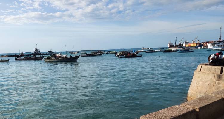 Bateaux amarrés dans un port avec des bâtiments industriels au loin.