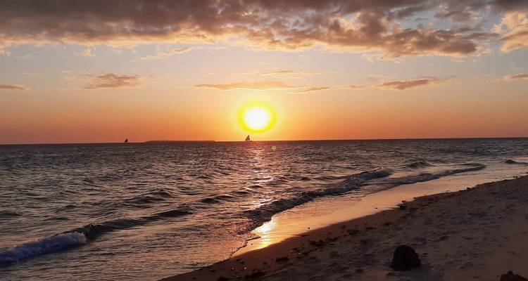 Un beau coucher de soleil sur l'océan avec des vagues sur le rivage.