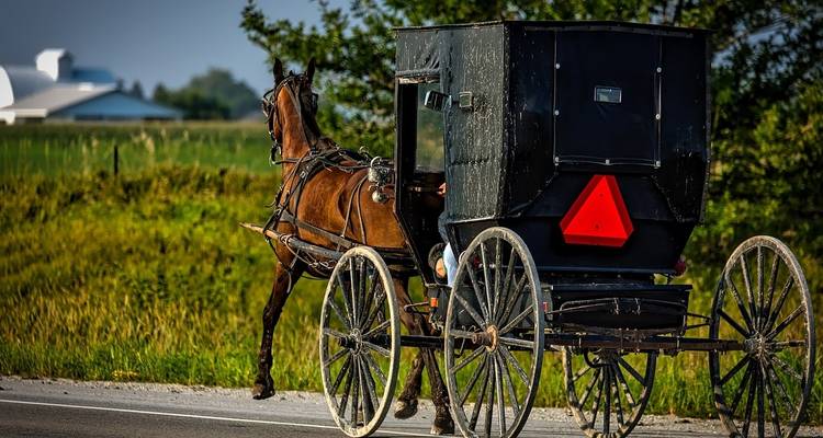 USA - Visite de Philadelphie, Washington DC et du pays Amish - 2 jours - Receptivo Aborigen Tours 6