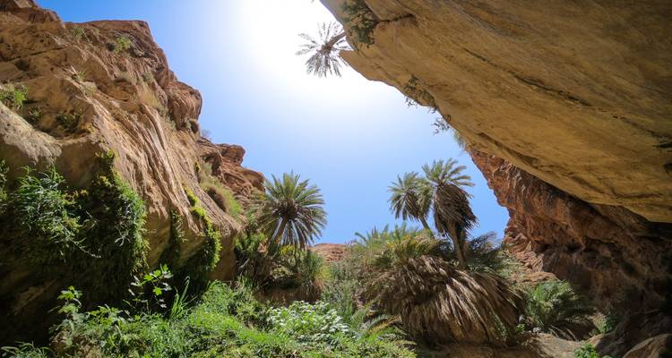 Jordan Nature Adventures - Enjoy Jordan Tours 3