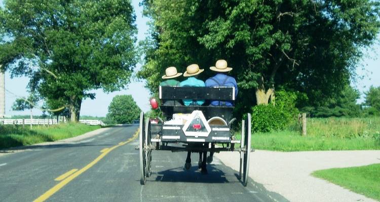 USA - American Getaway - 4 days - Receptivo Aborigen Tours 10