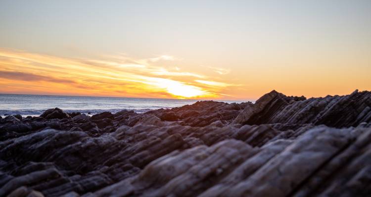 USA - California Express - 3 jours - Receptivo Aborigen Tours 3