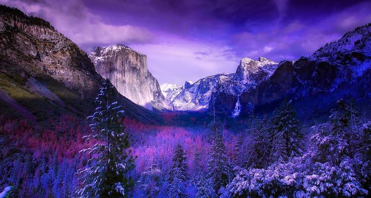 USA - California Express - 3 jours - Receptivo Aborigen Tours 9