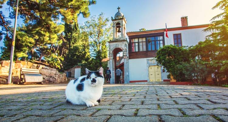 Esplendor de Turquía: Estambul, costa turquesa y Capadocia en 12 días - Dorak Tours 9