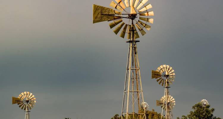 Several windmills under an overcast sky.