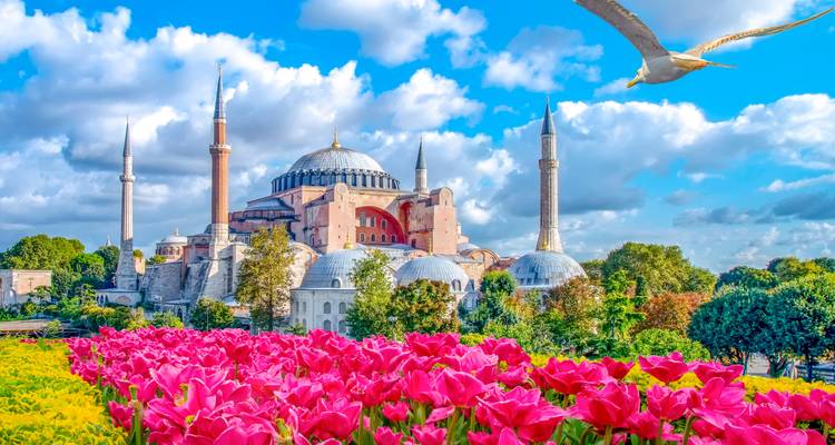 Maravillas del mundo allá donde vayas: Estambul, Bodrum y Capadocia en 13 días - Dorak Tours 1