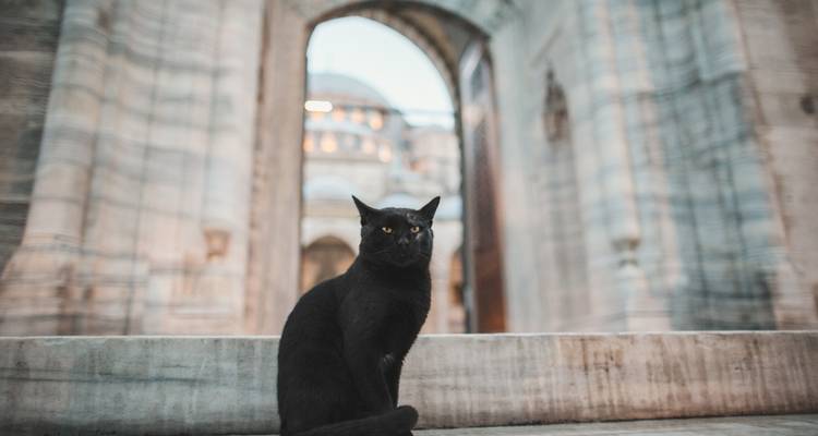 Maravillas del mundo allá donde vayas: Estambul, Bodrum y Capadocia en 13 días - Dorak Tours 3