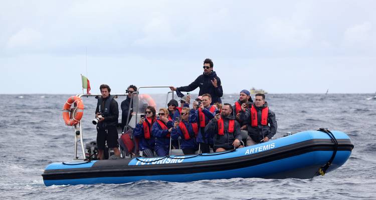 The Whales Expedition - Futurismo Azores Adventures 3