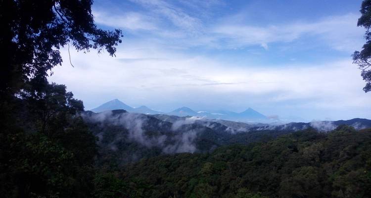 4-Day Mountain Gorillas and Chimpanzee Trekking Safari - Rumara Safaris 3