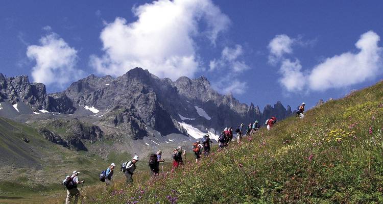 Une file de randonneurs gravit une pente alpine parsemée de fleurs vers des pics déchiquetés striés de neige sous un ciel bleu éclatant.