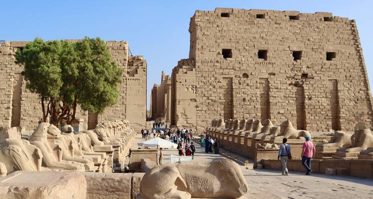 Nile Cruise 5 Star Full Board Aswan to Luxor (Domestic Flight Included) - Golden Egypt 8