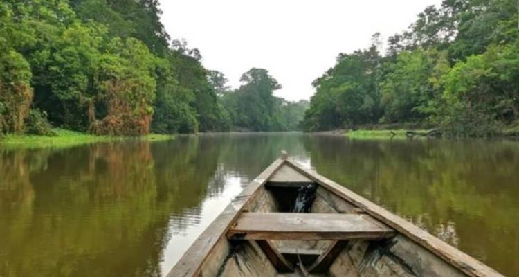 Wild Amazonas Adventure 4-Day Tour - Gran Colombia Tours 6