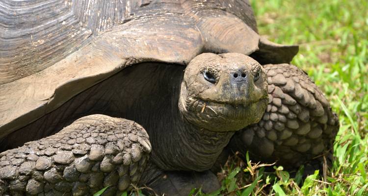 7 días inolvidables en las Islas Galápagos - Authentic Ecuador 6
